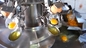 Industrielle Hochflüssigkeitsprozesslinie vollautomatische Eiweißblume Bruchtrennmaschine