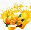 Frucht-Gemüse-Mango-Massen-Verarbeitungsanlage 2-5T/H SUS304