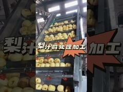 Wie wird die Vorverarbeitung von Birnensaft durchgeführt?