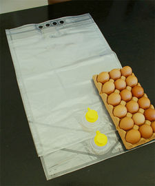Flüssige Verpackung der Eier des SCHELLFISCHES
