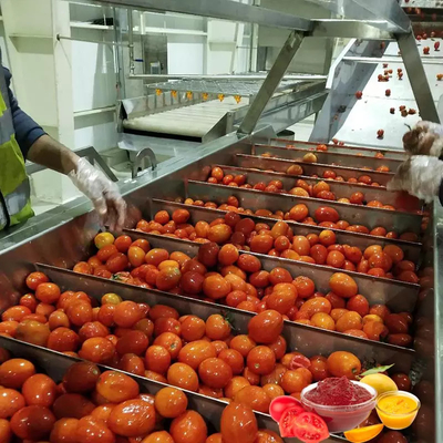 angepasste cpmplete Tomatenverarbeitungslinie In China Tomatensoße Verarbeitungsmaschine hochwertige Ausrüstung für Tomatensaft / Soße / Marmelade