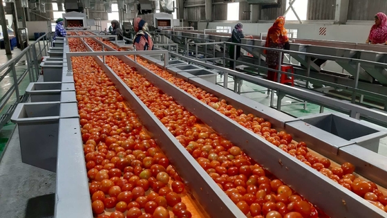 Hot Sale Komplett-Anlage für die Tomatenaufbereitung Neue Maschine zur Verarbeitung von Omate/Tomatensaft/Sauce/Pulp mit PLC SUS304/316