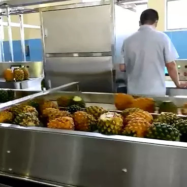Hochleistungs-Complete Ananas-Verarbeitung Linie kundenspezifische Ananas-Produktionsanlage Maschine mit PLC für die Obstindustrie