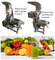 Frucht-Apfel-Wassermelone-Mango-Ananas-Entsafter-Extraktor-Maschine Edelstahl
