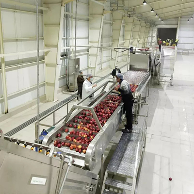 Hochkostenleistung Vollständige Birnenverarbeitungslinie kundenspezifische Apfel-/Birnenproduktionsanlage Birnensaft Ausrüstung Birnenpulpmaschine