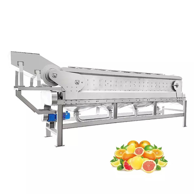 Alle automatische angepasste Orangensaftmaschine Neue Saftverarbeitungsmaschine Vollständige Obstverarbeitungsmaschine Mandarinpulp