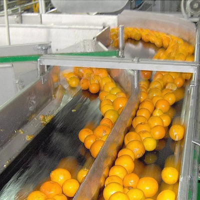 Alle automatische angepasste Orangensaftmaschine Neue Saftverarbeitungsmaschine Vollständige Obstverarbeitungsmaschine Mandarinpulp
