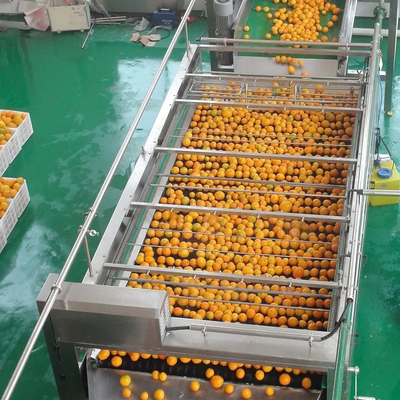 Alle automatische angepasste Orangensaftmaschine Neue Saftverarbeitungsmaschine Vollständige Obstverarbeitungsmaschine Mandarinpulp