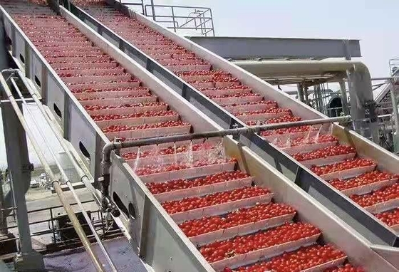 Vollständige kundenspezifische Erdbeerenverarbeitungslinie Blaubeeren/Erdbeeren/Frasbären-Produktionsanlage Erdbeersäfte/Pulp/Jammaschine Sus304/316