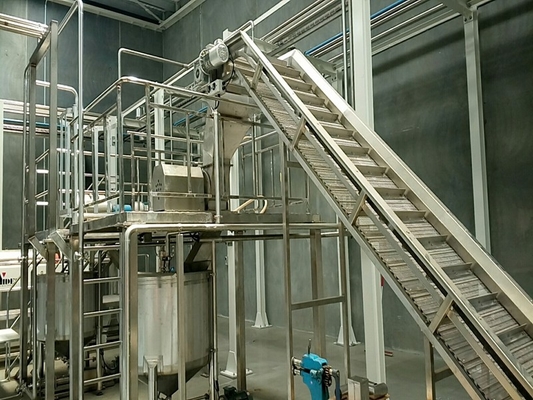 High Performance Customized Blueberry Processing Line Blueberry/Strawberry/Raspberry Produktionsanlage Blueberry Saft/Pulp/Jam Maschine mit PLC