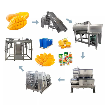 Hochwertige angepasste Mango-Saftverarbeitungsmaschine Mango/Mango-Zellstoff-Produktionsanlage Mango-Verarbeitungslinie Sus304/316