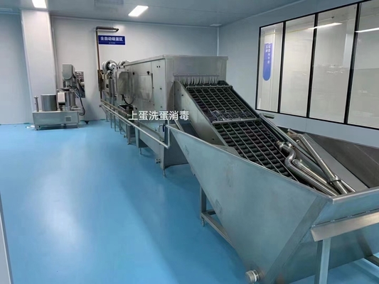Eienbrecher- und -trennmaschine / Flüssigenei-Verarbeitungsanlage