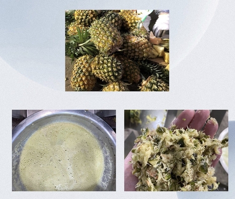 Ananas-Saftsauger-Maschine durch Schraubdruck Industriefabrik