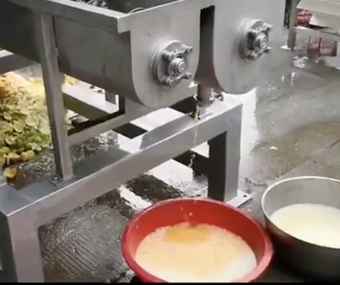 Ananas-Saftsauger-Maschine durch Schraubdruck Industriefabrik