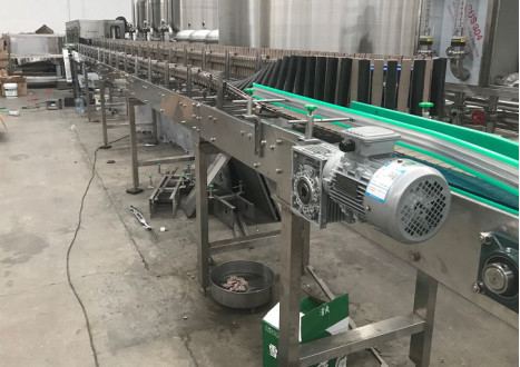 UHT Pasteurisierungsanlage für Saft- und Milchverarbeitung durch PET/Glasflasche