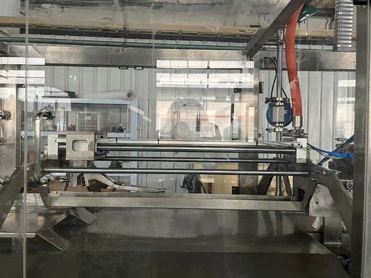 Automatic 1-220L Double Head Aseptic Bag Filling Machine SUS304 for Juice Milk Puree Packaging