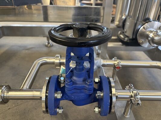 500 bis 20000 Liter pro Stunde Kapazität Pasteurisierung Sterilisator Edelstahl 304 oder 316 für die Lebensmittel- und Getränkeverarbeitung