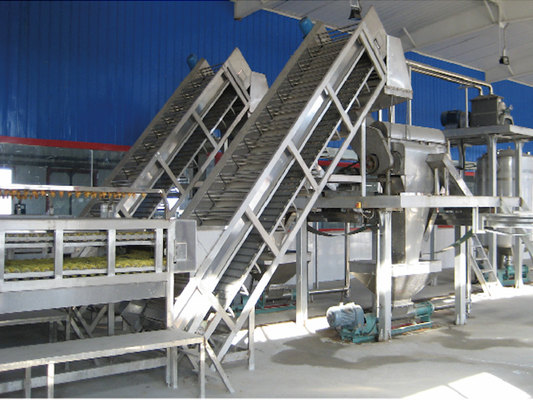 SUS304/316 Vollständige Pitaya-Verarbeitungslinie kundenspezifische Passionsfrucht/Pitaya/Guava-Produktionsanlage Ausrüstung mit PLC für Fruchtfabrik