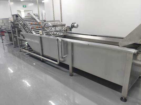 SUS304/316 Vollständige Pitaya-Verarbeitungslinie kundenspezifische Passionsfrucht/Pitaya/Guava-Produktionsanlage Ausrüstung mit PLC für Fruchtfabrik